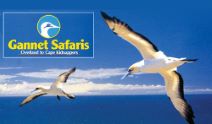 Gannet Safaris (Hastings)