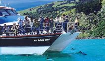 Black Cat Cruises – Akaroa 