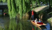  Punting on the Avon - Christchurch 
